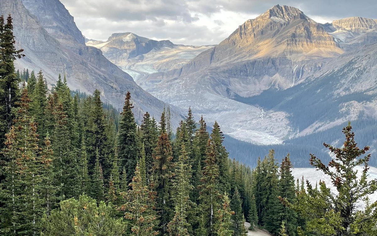 Exploring the Icefields Parkway – Banff and Jasper National Parks, Alberta, CA